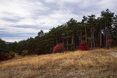 Прикрепленное изображение: -X5LxVWTQJQ.jpg